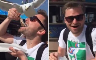 YouTube muestra a un hombre quien, a punto de comer un arenque de un solo bocado, se queda con las ganas cuando una gaviota le roba el alimento.