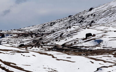 El experto del Senamhi, Martín Bonshoms, informó que las heladas se incrementarán en la sierra sur entre el viernes 22 al domingo 24, afectando las zonas altas de las regiones Ayacucho, Apurímac, Cusco, Puno, Arequipa, Moquegua y Tacna.