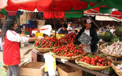 La inflación en Lima Metropolitana llegó a 0.39 por ciento en abril, debido a los mayores precios en algunos alimentos.