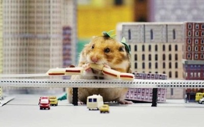 YouTube muestra en el séptimo capítulo de su popular serie Tiny Hamster a una mascota vuelta en un depredador gigante que se come una "ciudad entera.