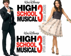 hsm41