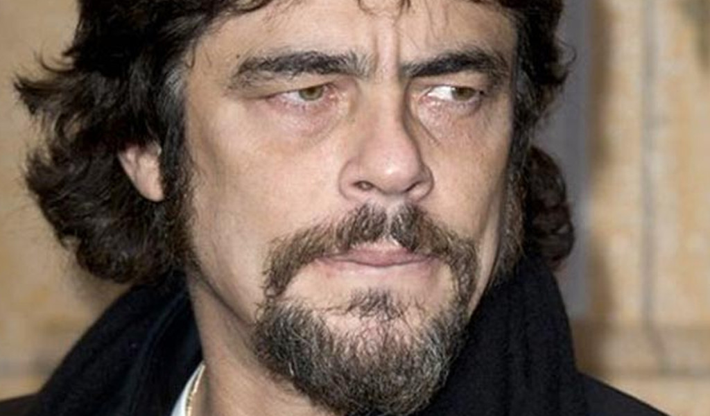 benicio1