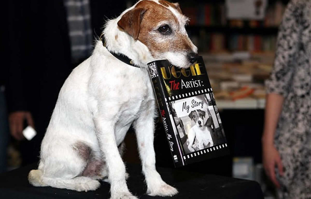 uggie1