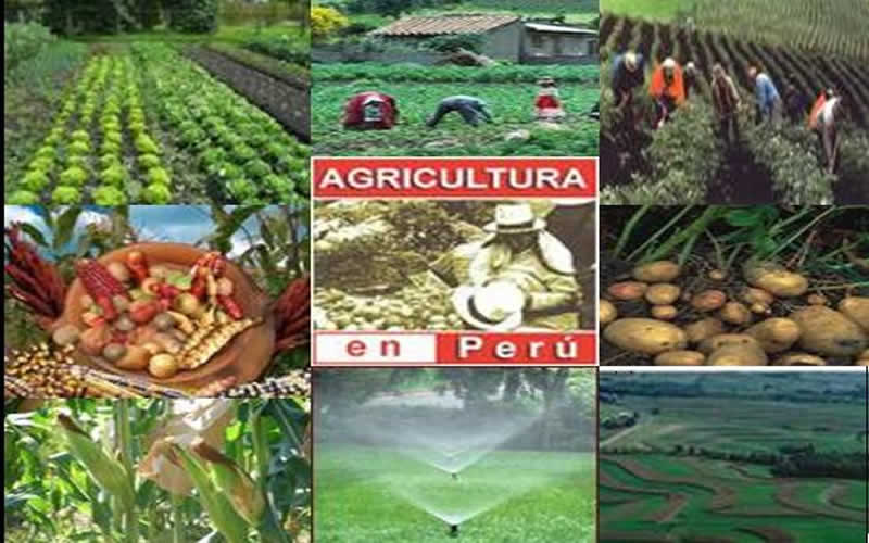Agricultura-Peru