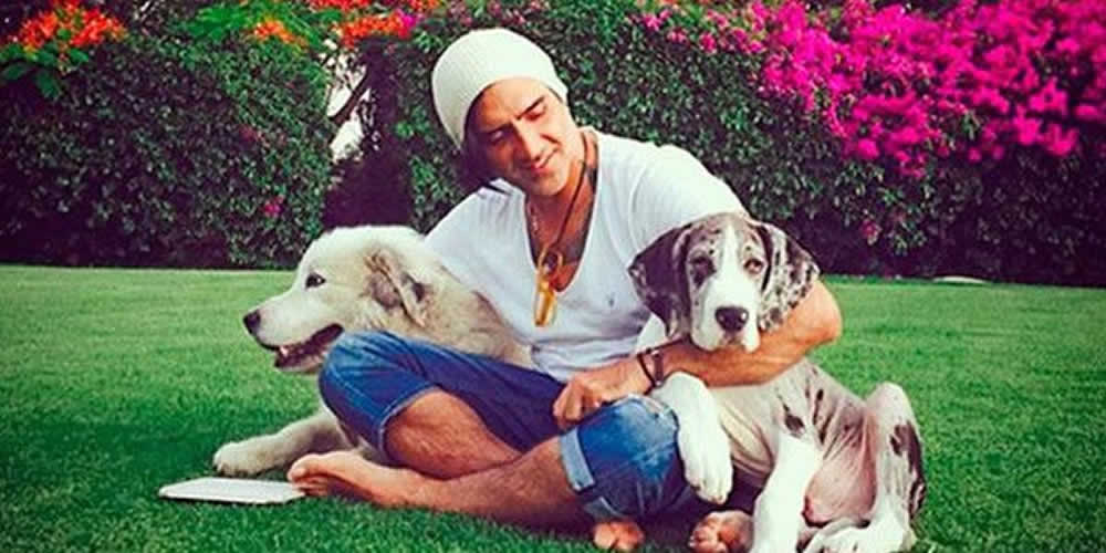 Alejandro Fernandez y perros