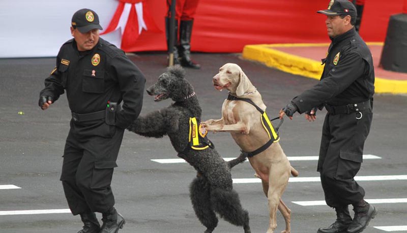 parada-militar-2013