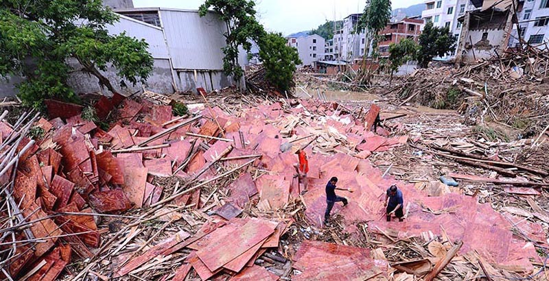 新华社照片，闽清（福建），2016年7月11日 福建闽清：洪水肆虐致10人死亡11人失踪 7月11日，闽清县塔庄镇茶口村村民为一家企业捡拾被洪水冲走的木板。 受今年第1号台风“尼伯特”影响，7月9日，福建省闽清县发生特大洪涝灾害，梅溪流域闽清段洪峰流量约5000立方米/秒，最高水位26.48米，超警戒水位10.68米，造成房屋倒塌、农田受淹、道路桥梁被毁，水电、通讯中断。 灾情发生后，当地干部群众、部队官兵迅速投入到抗灾自救当中。截至7月11日13时，已造成全县受淹农作物面积7.9万亩，房屋倒塌3144多间，受灾人口9.5万人，全县直接经济损失21.7亿元，截至7月11日19时，死亡10人，失踪11人。 目前，抗险救灾工作正在紧张进行中。 新华社记者 张国俊摄