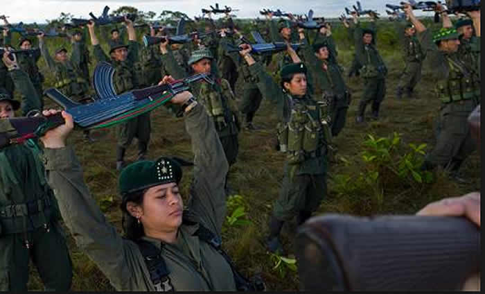 cese-farc22-700