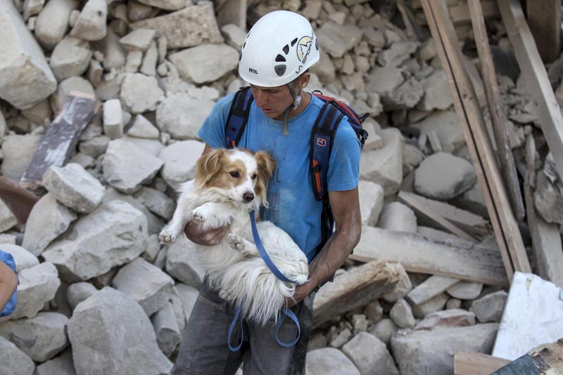 ITA48 AMATRICE (ITALIA), 24/08/2016.- Un voluntario salva a un perro durante los trabajos de rescate tras el terremoto en la localidad de Amatrice, en el centro de Italia, hoy, 24 de agosto de 2016. Al menos 73 personas han muerto hoy tras el terremoto de 6 grados en la escala Ritcher que ha devastado pueblos enteros del centro de Italia como el turístico Amatrice, una localidad que ha quedado prácticamente destruida. EFE/Massimo Percossi