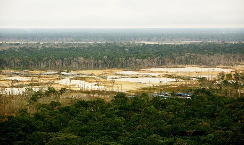 Reserva-Nacional-de-Tambopata