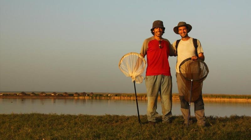 Gerard Talavera izquierda y Roger Vila derecha recolectando mariposas en Benin Autor Martial Kiki SOCIEDAD TEMA MADRIDEJOS