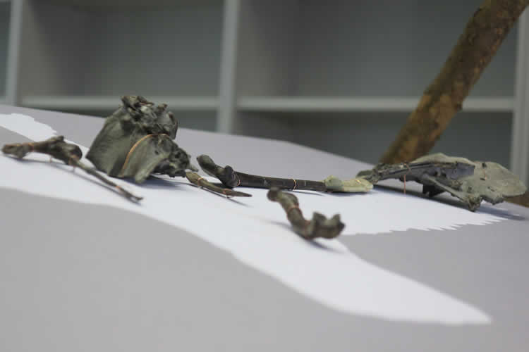 Fonador de aves - 2
