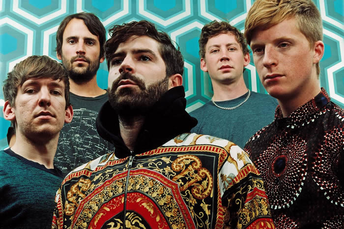 foals_3