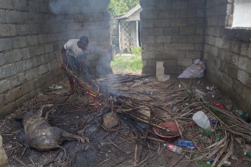 CORRIGE UBICACIÓN. HAI07 - Grand Goave (HAITÍ), 10/05/2016- Aspecto de una vivienda afectada por los fuertes vientos y la lluvia hoy, miércoles 5 de octubre de 2016, un día después del paso del huracán Matthew en Grand Goave (Haití). El huracán Matthew tocó tierra ayer en Haití dejando a su paso al menos nueve muertos, miles de desplazados y comunidades incomunicadas, principalmente en el suroeste de la nación caribeña. EFE/ Bahare Khodabande