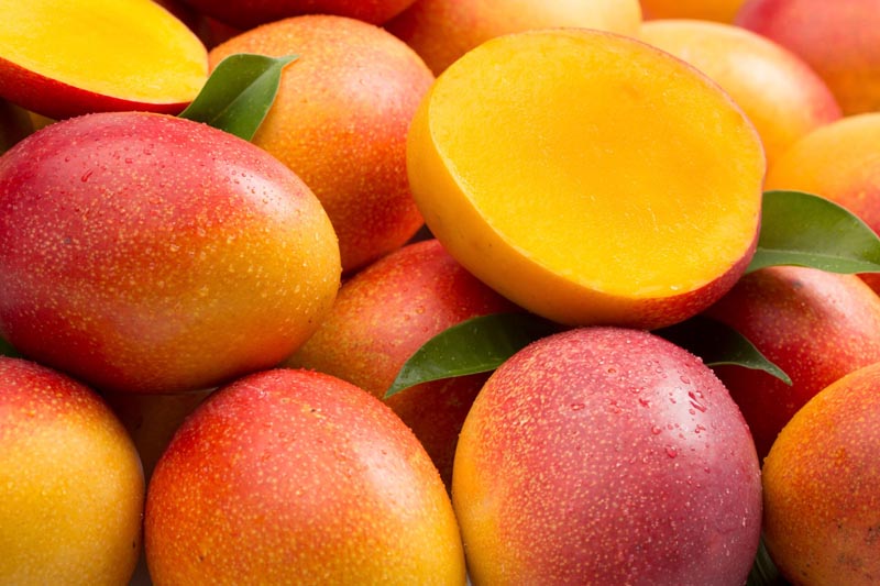 MANGO-5