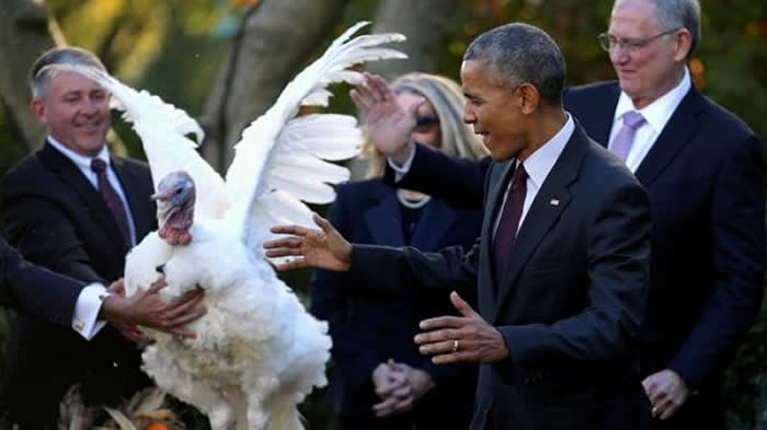 obama-pavos2