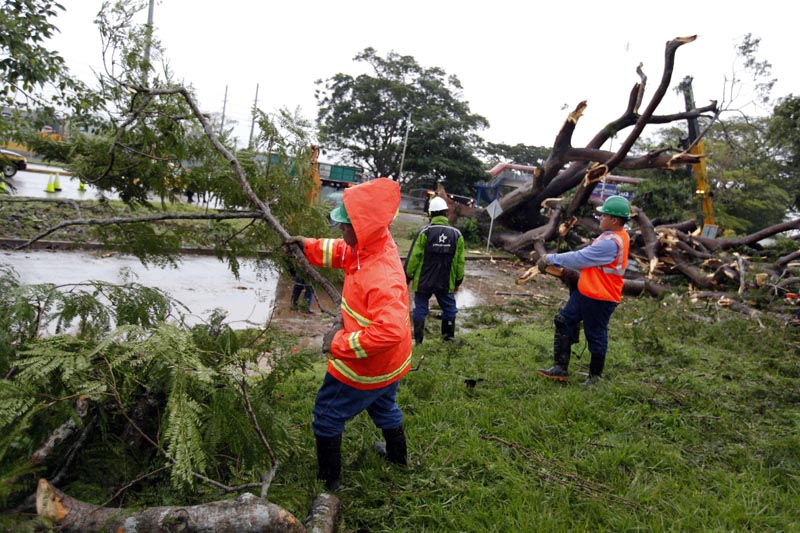 PA20014 CIUDAD DE PANAMÁ (PANAMÁ), 22/11/2016.- Obreros trabajan en retirar un árbol que cayó sobre un vehículo a causa de la tormenta tropical Otto hoy, martes 22 de noviembre de 2016, en la Ciudad de Panamá (Panamá). Las autoridades removieron el árbol que cayó sobre el auto y mató a un menor en Panamá. Al menos cuatro muertos, un desaparecido, medio centenar de viviendas destruidas, suspensión de clases e interrupciones en los aeropuertos causó hasta hoy la tormenta tropical Otto, anunciaron las autoridades de Panamá. EFE/Alejandro Bolívar