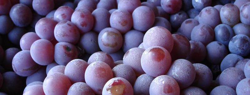 uvas_1