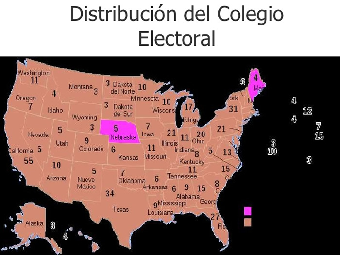 COLEGIO ELECTORAL