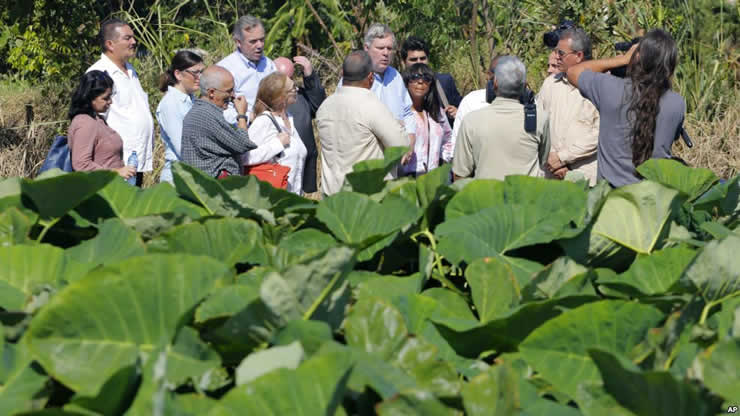 Científicos de santuarios marinos