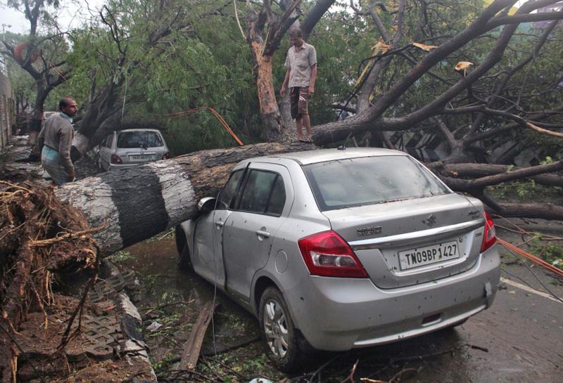 A man stands on a fallen tree that fell on a vehicle after it was uprooted by strong winds caused by cyclone Vardah, in Chennai, India, December 13, 2016. REUTERS/Stringer FOR EDITORIAL USE ONLY. NO RESALES. NO ARCHIVES.