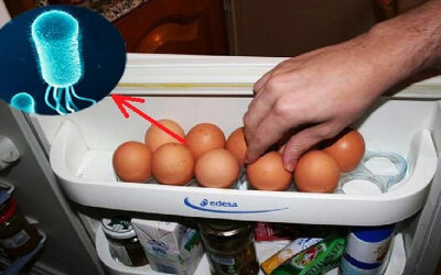 HuevosRefrigerador