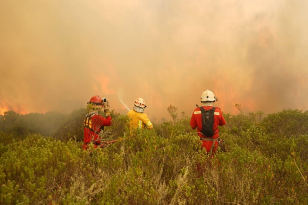 Oficializan declaratoria de emergencia en tres regiones por incendios ...